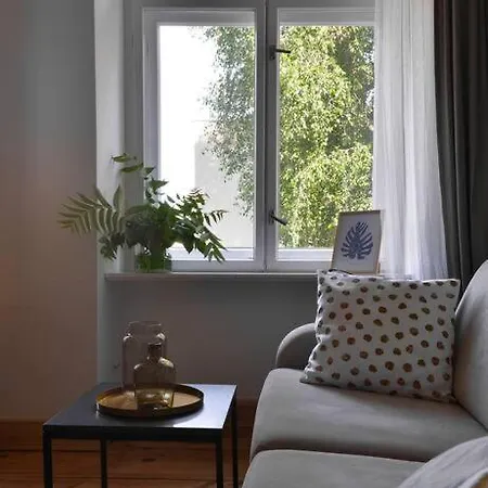 Rynek Stare 4 - Klima Netflix *