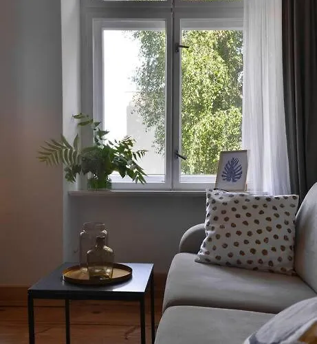 Rynek Stare 4 - Klima Netflix *